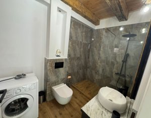 Maison 4 chambres à louer dans Cluj-napoca, zone Marasti