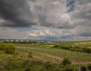Lakás 2 szobák kiadó on Cluj-napoca, Zóna Borhanci