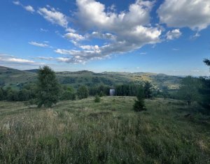 Terrain à vendre dans Muntele Baisorii
