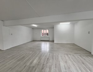 Espace Commercial à louer dans Cluj-napoca, zone Marasti