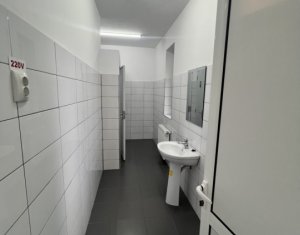 Espace Commercial à louer dans Cluj-napoca, zone Marasti