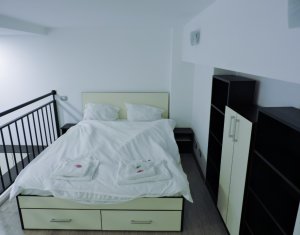 Appartement 1 chambres à louer dans Cluj-napoca, zone Manastur