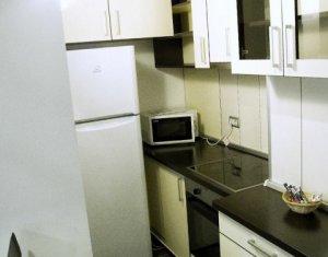Appartement 1 chambres à louer dans Cluj-napoca, zone Manastur
