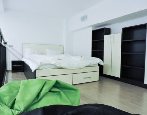 Appartement 1 chambres à louer dans Cluj-napoca, zone Manastur
