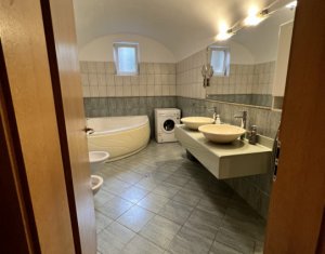 Bureau à vendre dans Cluj-napoca, zone Gruia