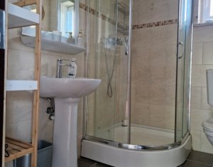 Maison 4 chambres à louer dans Cluj-napoca, zone Borhanci