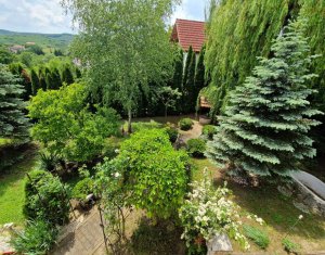 Maison 4 chambres à louer dans Cluj-napoca, zone Borhanci