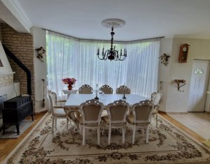 Maison 4 chambres à louer dans Cluj-napoca, zone Borhanci