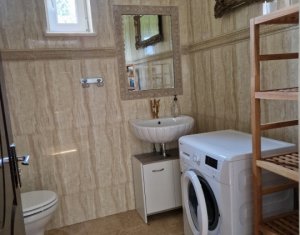 Maison 4 chambres à louer dans Cluj-napoca, zone Borhanci