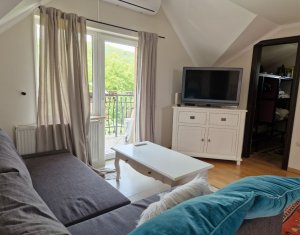 Maison 4 chambres à louer dans Cluj-napoca, zone Borhanci