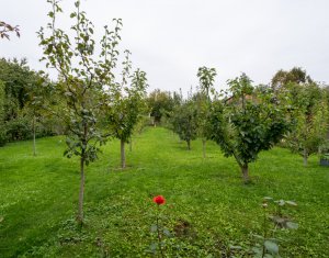 Maison 5 chambres à vendre dans Cluj-napoca, zone Andrei Muresanu