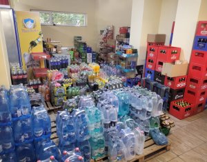 Espace Commercial à vendre dans Floresti