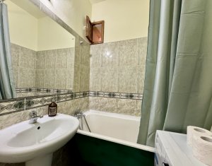 Maison 3 chambres à louer dans Cluj-napoca