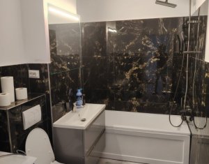 Appartement 2 chambres à louer dans Floresti