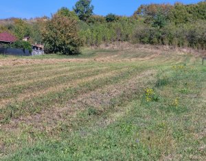 , 3600m2 in Popesti