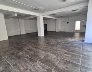 Espace Commercial à vendre dans Cluj-napoca, zone Borhanci