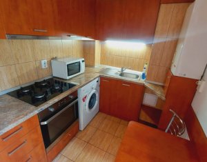 Appartement 1 chambres à louer dans Cluj-napoca, zone Centru