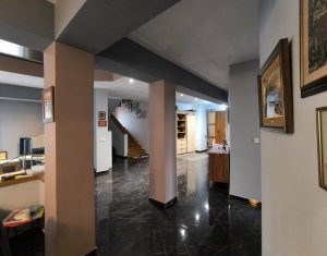 Maison 4 chambres à vendre dans Cluj-napoca, zone Borhanci