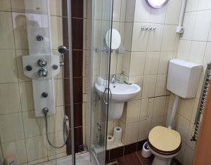 Appartement 3 chambres à louer dans Cluj-napoca, zone Centru
