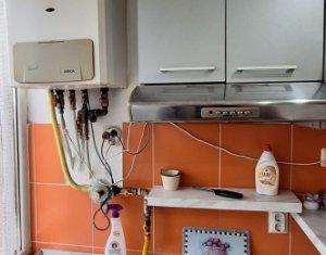 Appartement 2 chambres à louer dans Cluj-napoca, zone Gruia