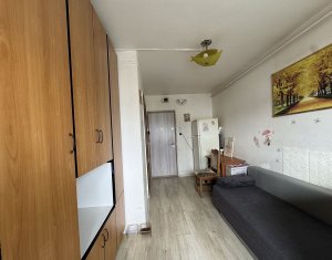 Appartement 1 chambres à vendre dans Cluj-napoca, zone Intre Lacuri