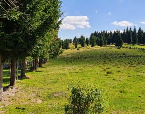 , 10814m2 dans Belis