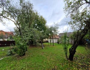 , 68m2 in Cluj-napoca, zona Dambul Rotund
