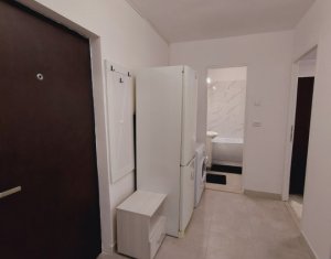 Appartement 2 chambres à louer dans Cluj-napoca, zone Manastur