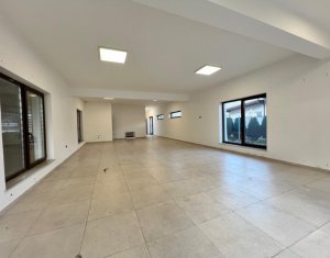 Espace Commercial à louer dans Cluj-napoca, zone Gara