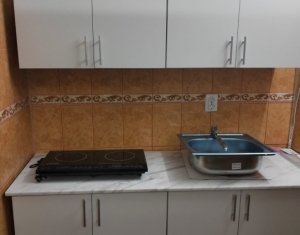 Appartement 1 chambres à louer dans Cluj-napoca, zone Marasti