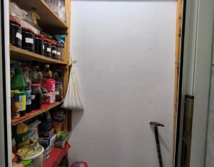 Maison 4 chambres à vendre dans Cluj-napoca, zone Andrei Muresanu
