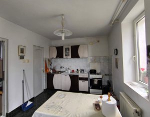 Maison 4 chambres à vendre dans Cluj-napoca, zone Andrei Muresanu