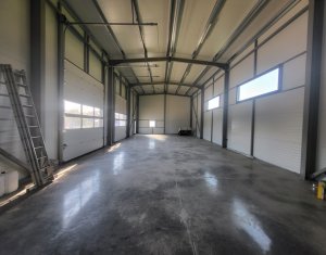 Espace Industriel à louer dans Luna De Sus