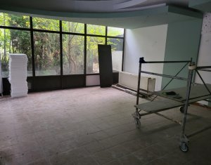 Espace Commercial à louer dans Cluj-napoca, zone Manastur