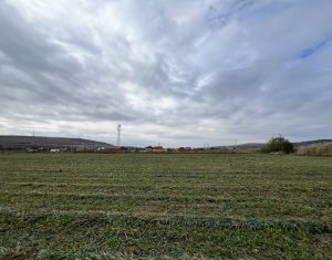 Teren 26.000mp, halta Rascruci drum european E576 Cluj - Dej