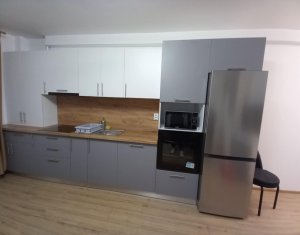 Appartement 2 chambres à louer dans Cluj-napoca, zone Iris