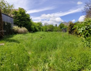 Maison 2 chambres à vendre dans Manastireni