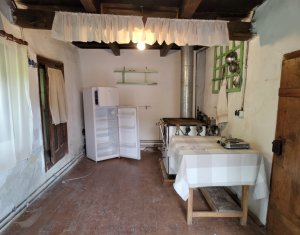 Maison 2 chambres à vendre dans Manastireni