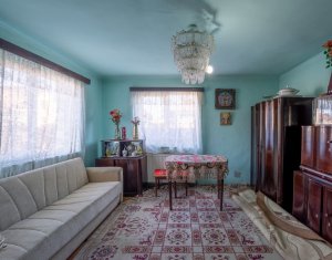 Maison 3 chambres à vendre dans Cluj-napoca, zone Someseni