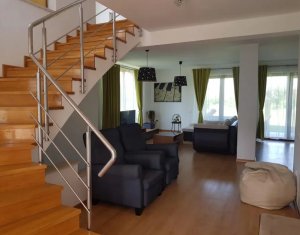 Ház 3 szobák kiadó on Cluj-napoca, Zóna Borhanci