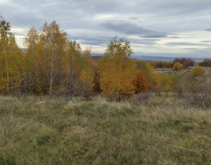 , 971m2 dans Salicea, zone Centru