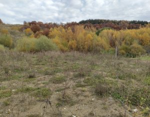 , 994m2 in Salicea