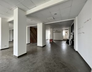 Spatiu comercial sau birouri 274mp piata Cipariu mezanin