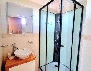 Appartement 4 chambres à louer dans Cluj-napoca, zone Buna Ziua