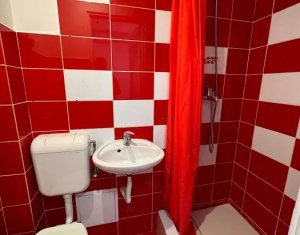 Appartement 1 chambres à vendre dans Cluj-napoca, zone Plopilor