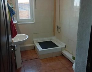 Maison 1 chambres à vendre dans Chinteni