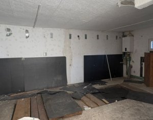Maison 2 chambres à louer dans Cluj-napoca, zone Andrei Muresanu
