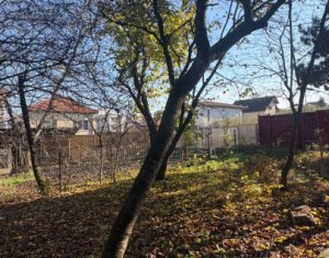 Maison 2 chambres à louer dans Cluj-napoca, zone Andrei Muresanu