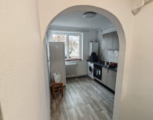 Appartement 1 chambres à louer dans Cluj-napoca, zone Gruia