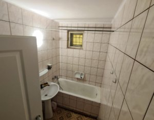 Appartement 1 chambres à louer dans Cluj-napoca, zone Gruia